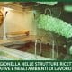 Rischio legionella